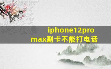 iphone12pro max副卡不能打电话